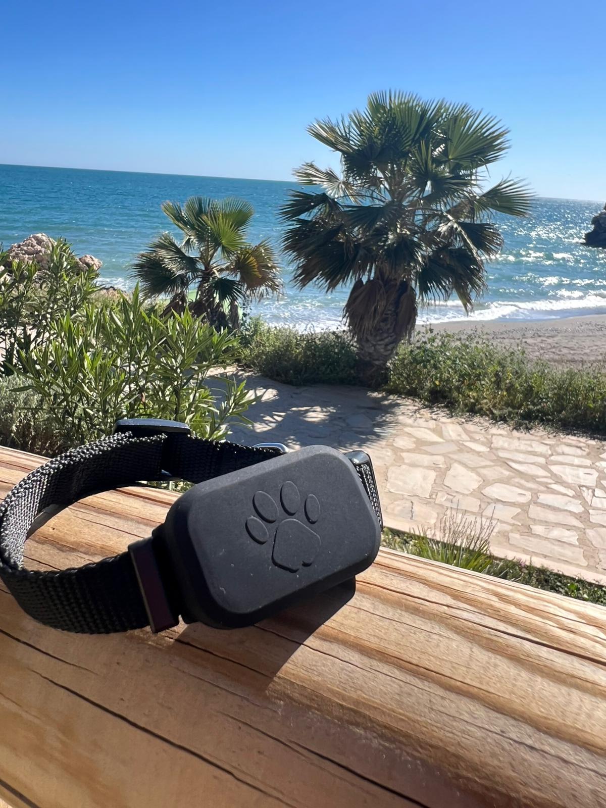Localizador GPS para animales con correa adaptable