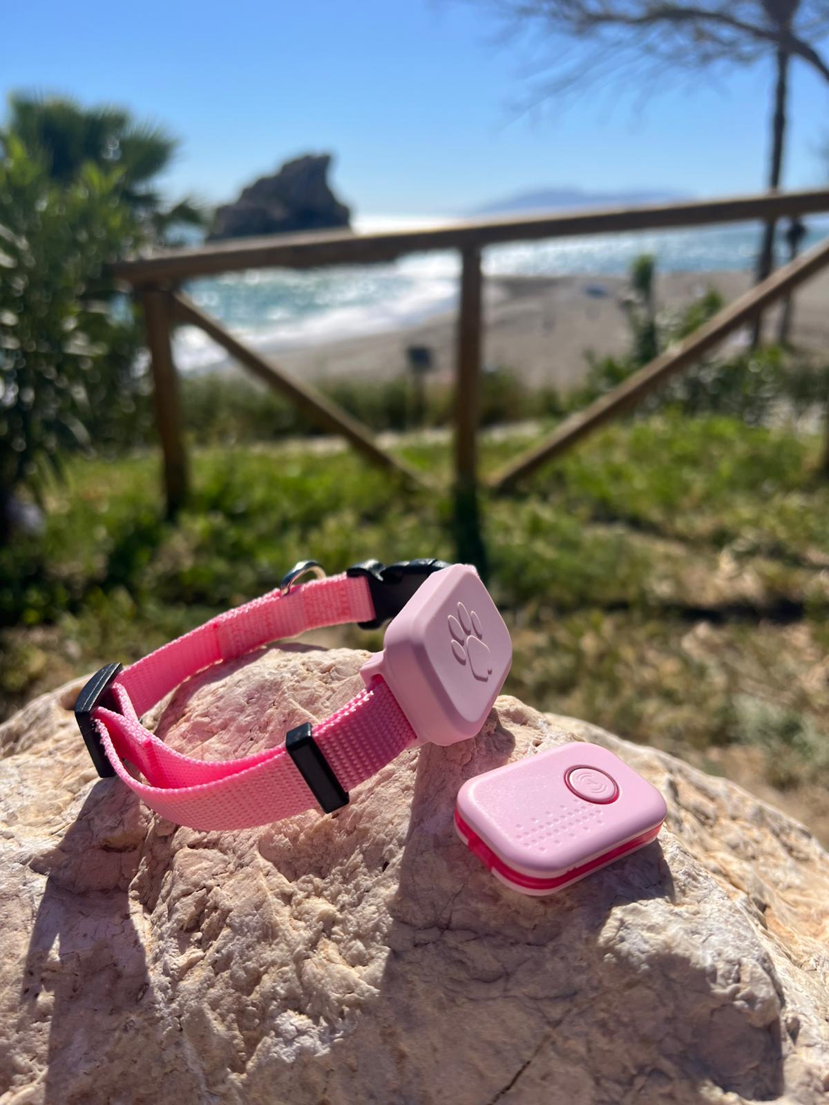 Localizador GPS para animales con correa adaptable